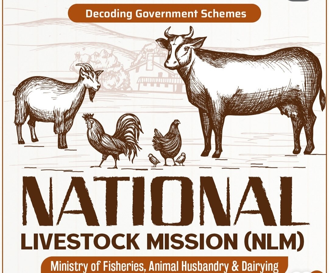 NLM Goat farming Yojana शेळीपालनासाठी सरकारची NLM योजना